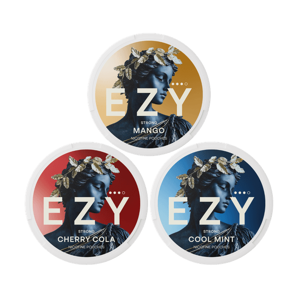 EZY EZY Mix Pack Strong nikotino maišeliai